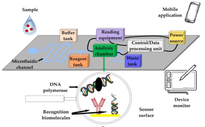 A Microfluidic-Sensor Fusion Approach for Early Detection and Effective Management of Livestock Diseases